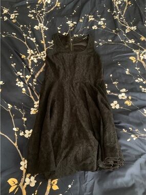 Express Black Lace Fit-and-Flare Dress